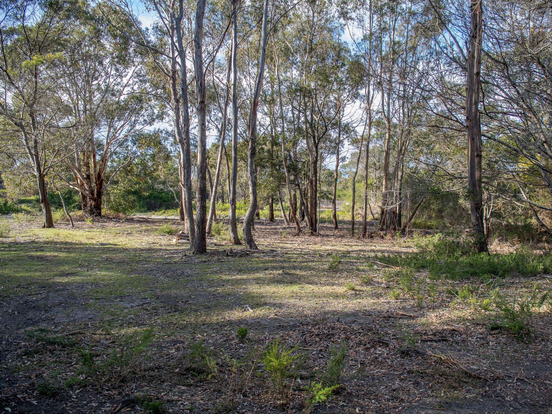 Lot 4, 254 Harveys Farm Road, Bicheno For Sale by Farmbuy.com - image 6