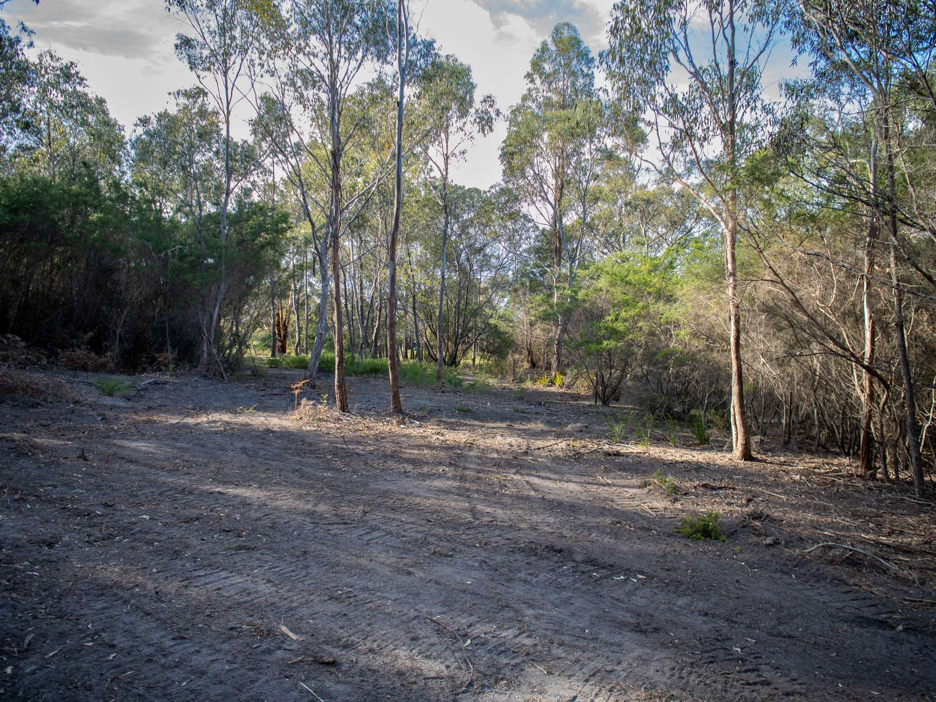 Lot 4, 254 Harveys Farm Road, Bicheno For Sale by Farmbuy.com - image 4