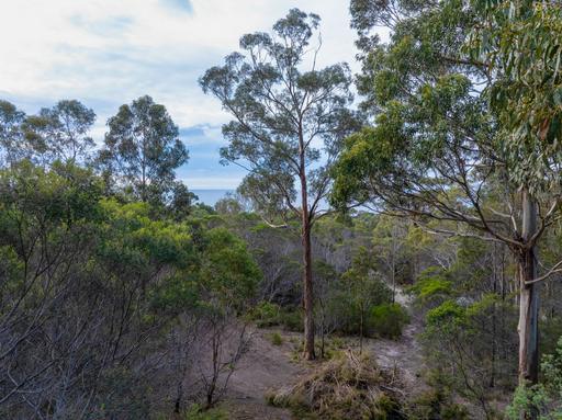 Lot 4&comma; 254 Harveys Farm Road, Bicheno TAS 7215