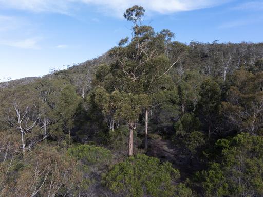 Lot 4&comma; 254 Harveys Farm Road, Bicheno TAS 7215