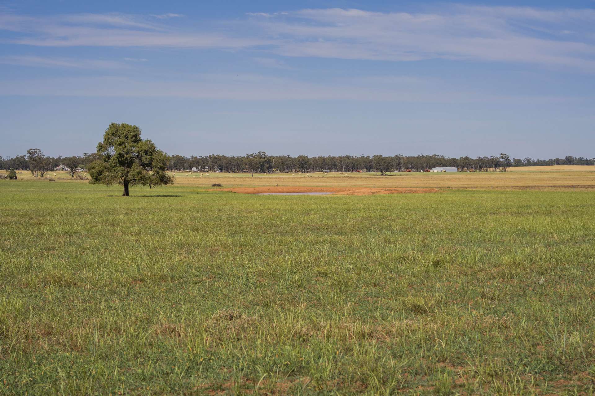 3356 Mid Western Highway, North Yalgogrin For Sale by Farmbuy.com - image 3