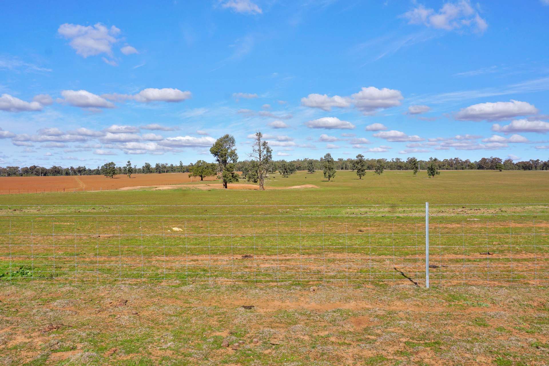 3356 Mid Western Highway, North Yalgogrin For Sale by Farmbuy.com - image 5