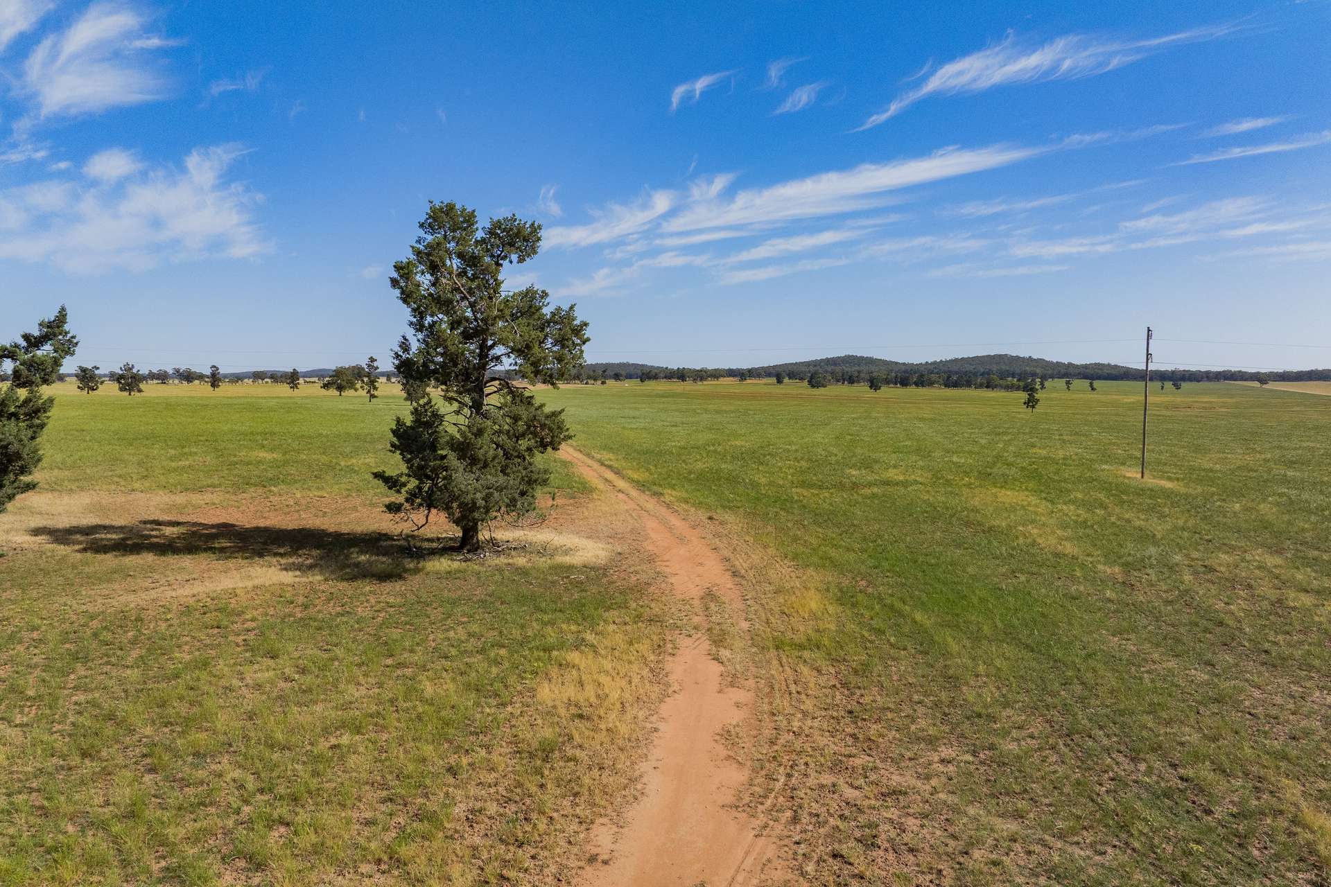 3356 Mid Western Highway, North Yalgogrin For Sale by Farmbuy.com - image 2
