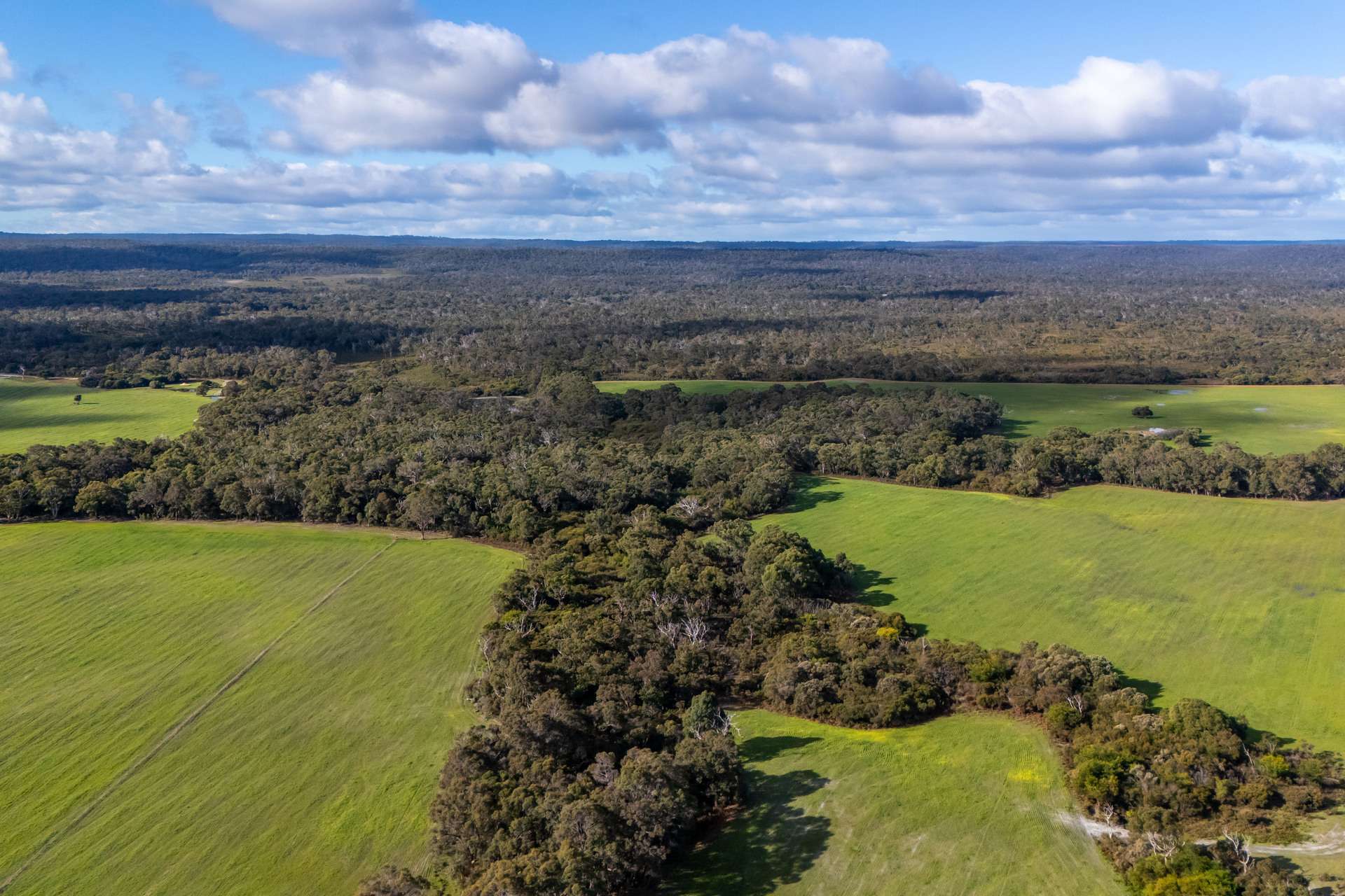 Lake Jasper For Sale by Farmbuy.com - image 22