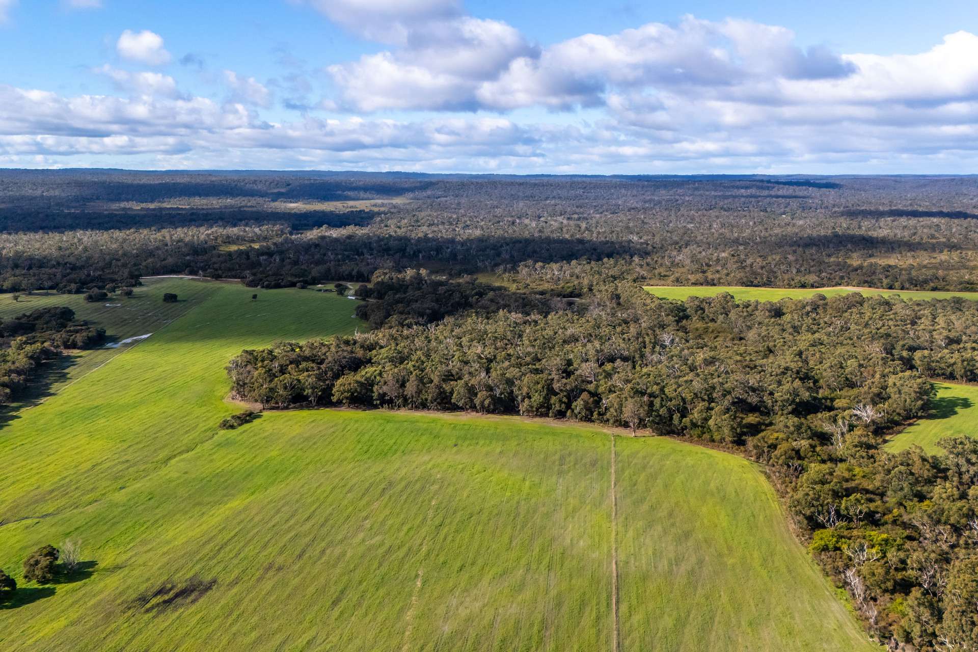 Lake Jasper For Sale by Farmbuy.com - image 19