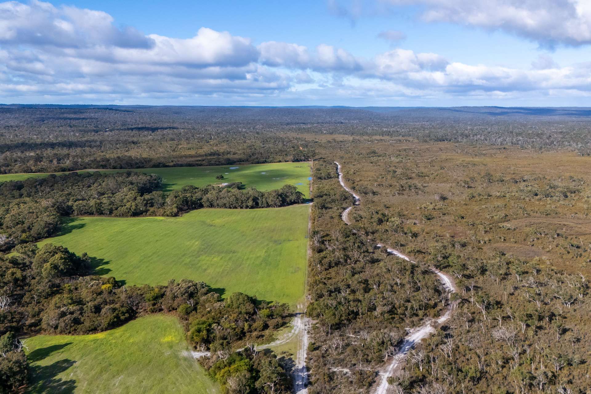 Lake Jasper For Sale by Farmbuy.com - image 20