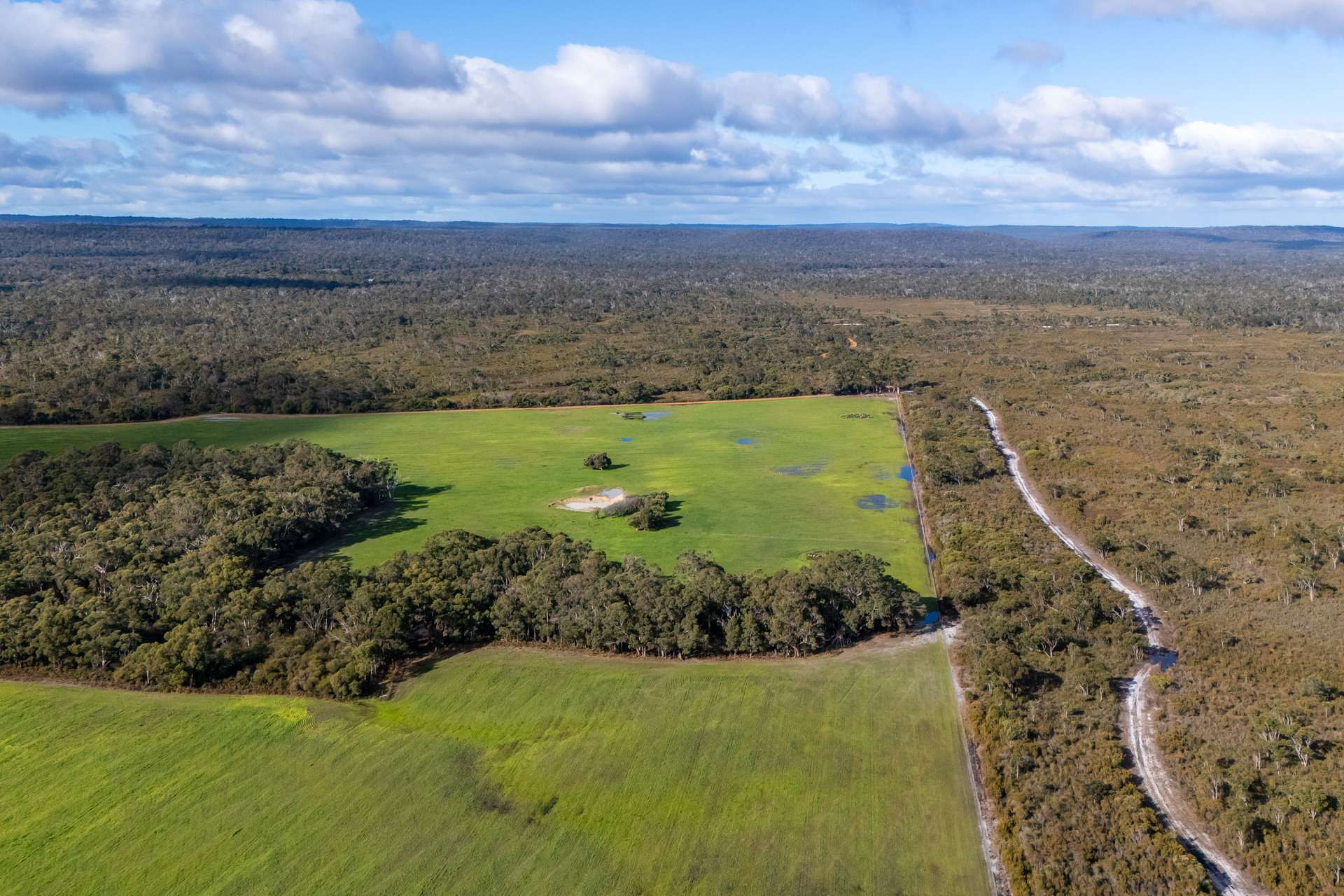 Lake Jasper For Sale by Farmbuy.com - image 21