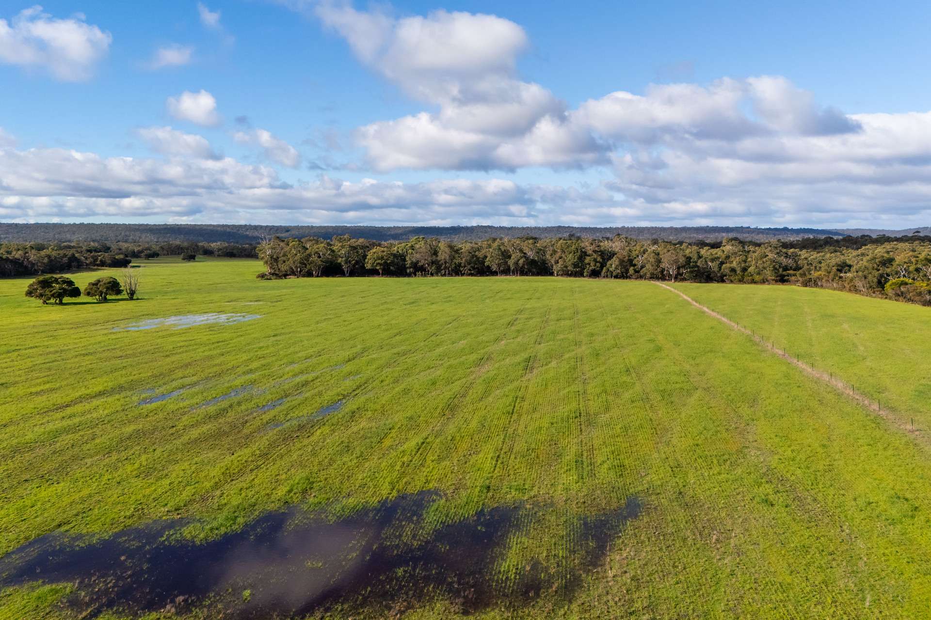 Lake Jasper For Sale by Farmbuy.com - image 3