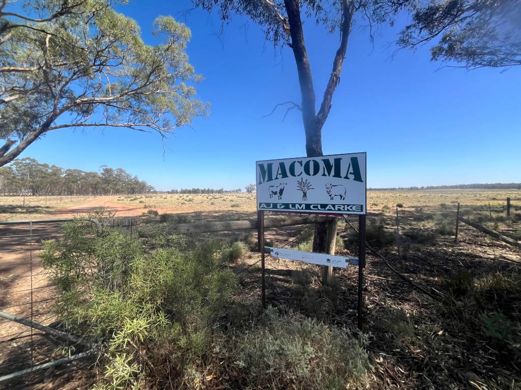 603 Charcoal Tank Road, West Wyalong For Sale by Farmbuy.com - image 11