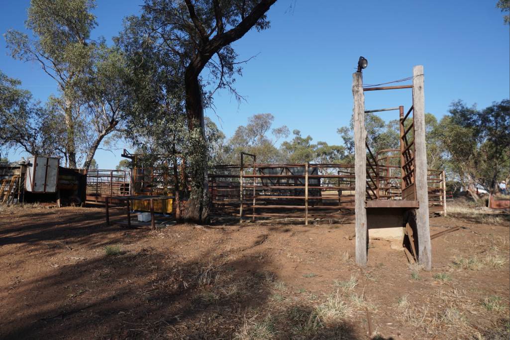 603 Charcoal Tank Road, West Wyalong For Sale by Farmbuy.com - image 15