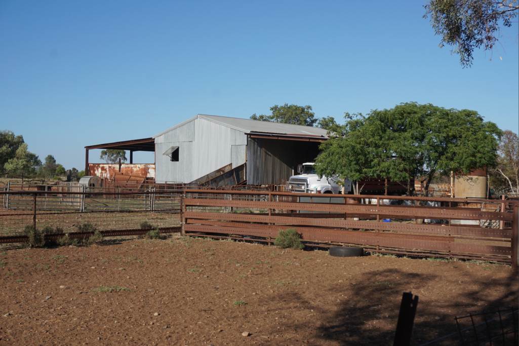 603 Charcoal Tank Road, West Wyalong For Sale by Farmbuy.com - image 16