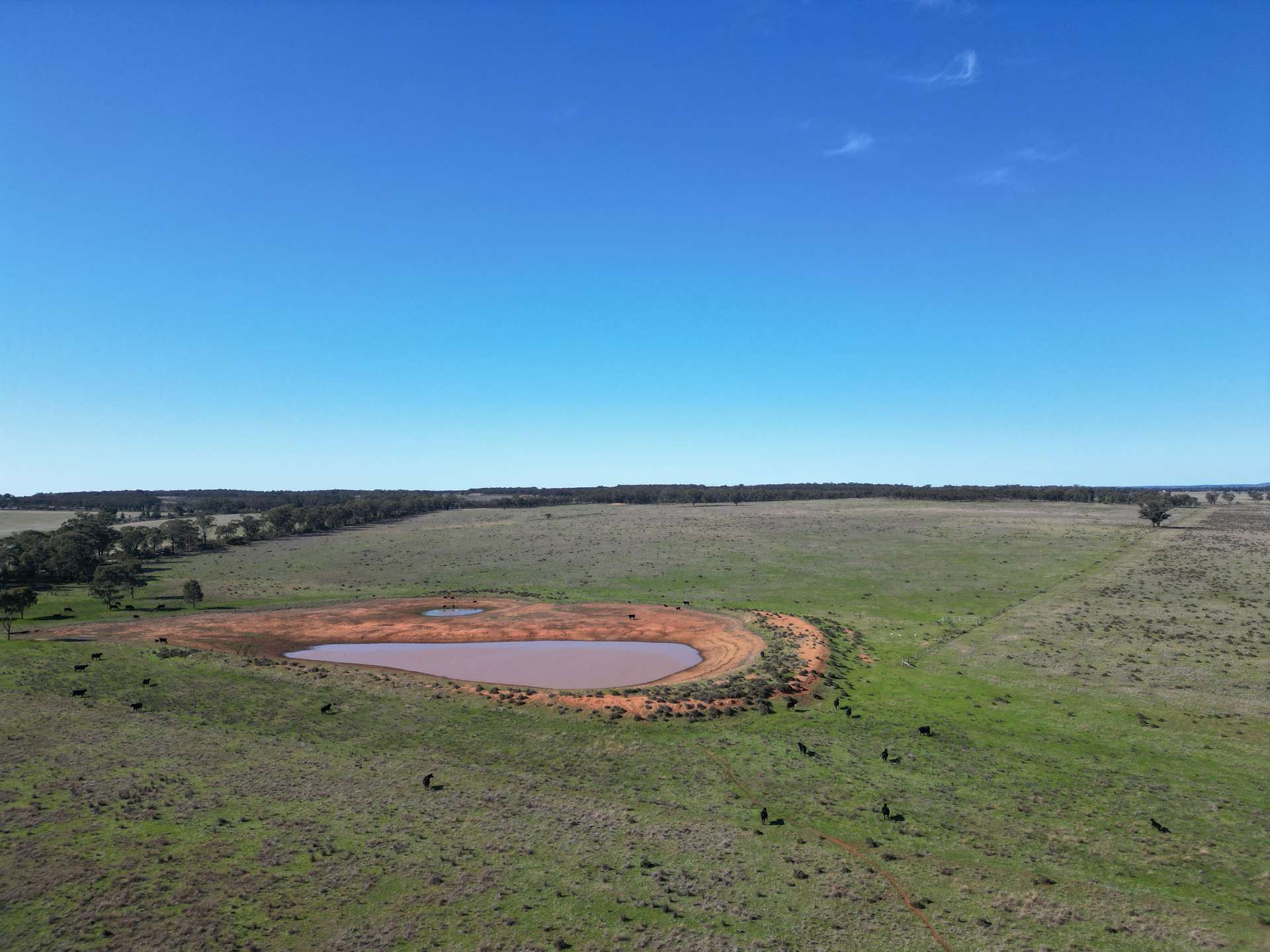 603 Charcoal Tank Road, West Wyalong For Sale by Farmbuy.com - image 4