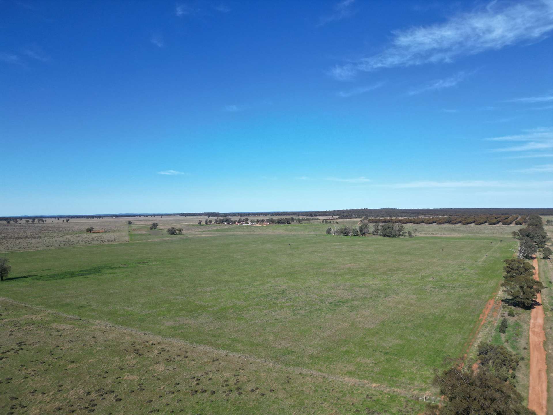 603 Charcoal Tank Road, West Wyalong For Sale by Farmbuy.com - image 9
