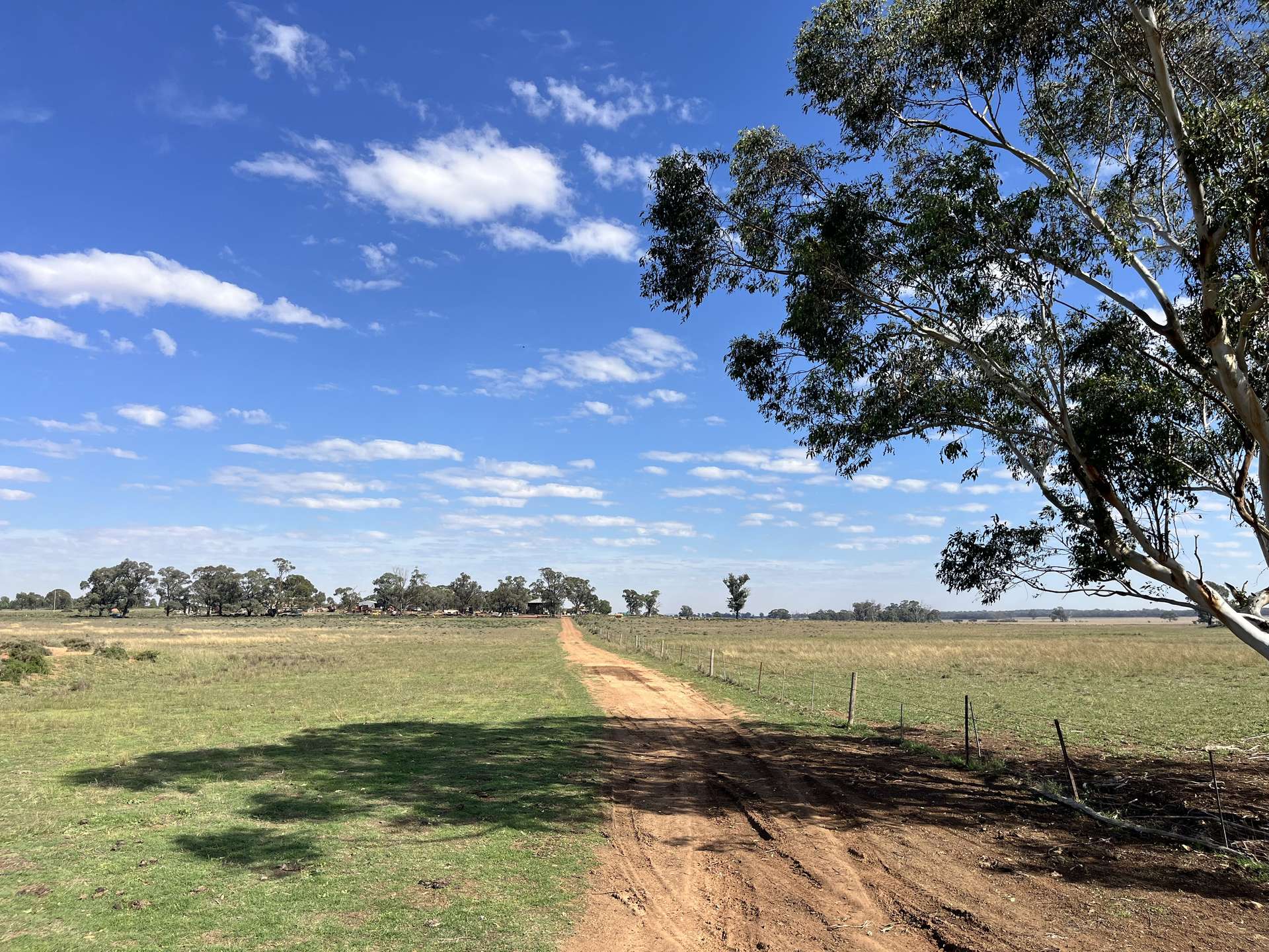 603 Charcoal Tank Road, West Wyalong For Sale by Farmbuy.com - image 2