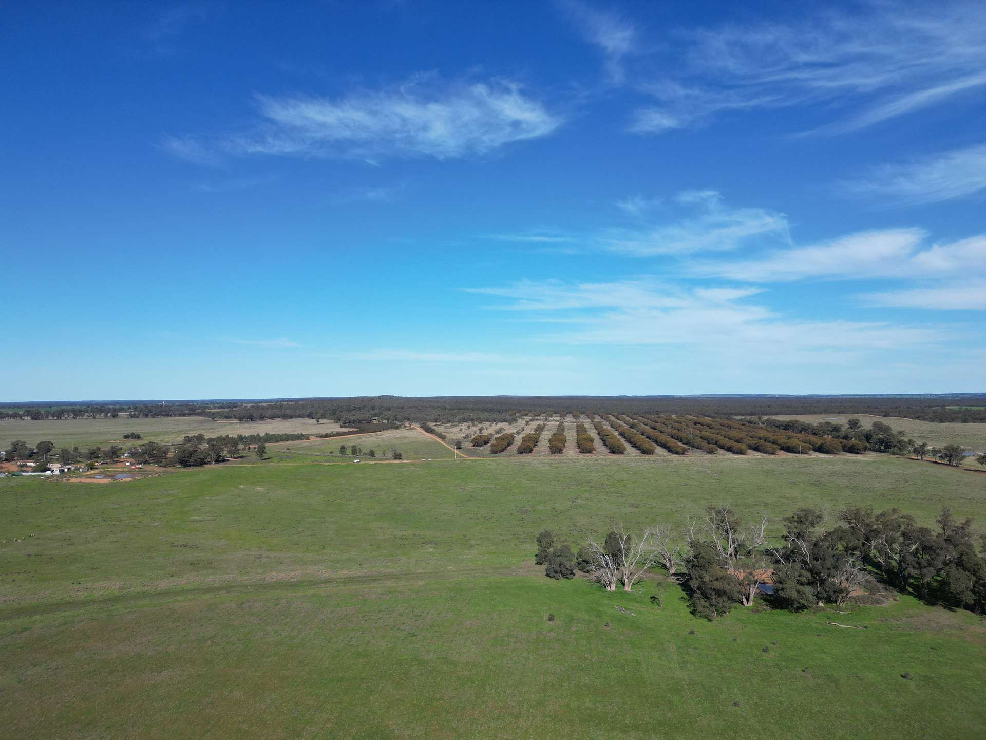603 Charcoal Tank Road, West Wyalong For Sale by Farmbuy.com - image 1