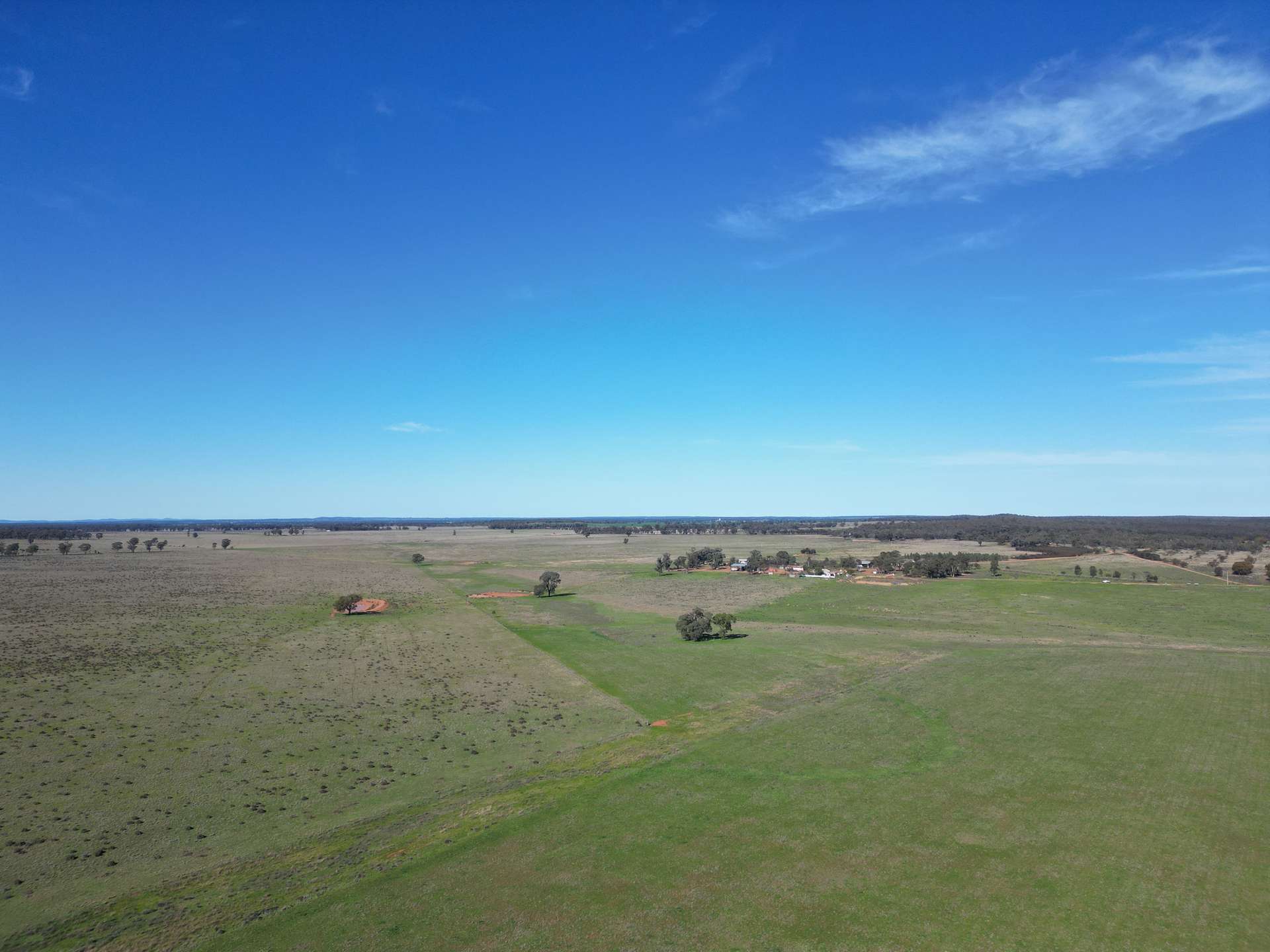603 Charcoal Tank Road, West Wyalong For Sale by Farmbuy.com - image 3