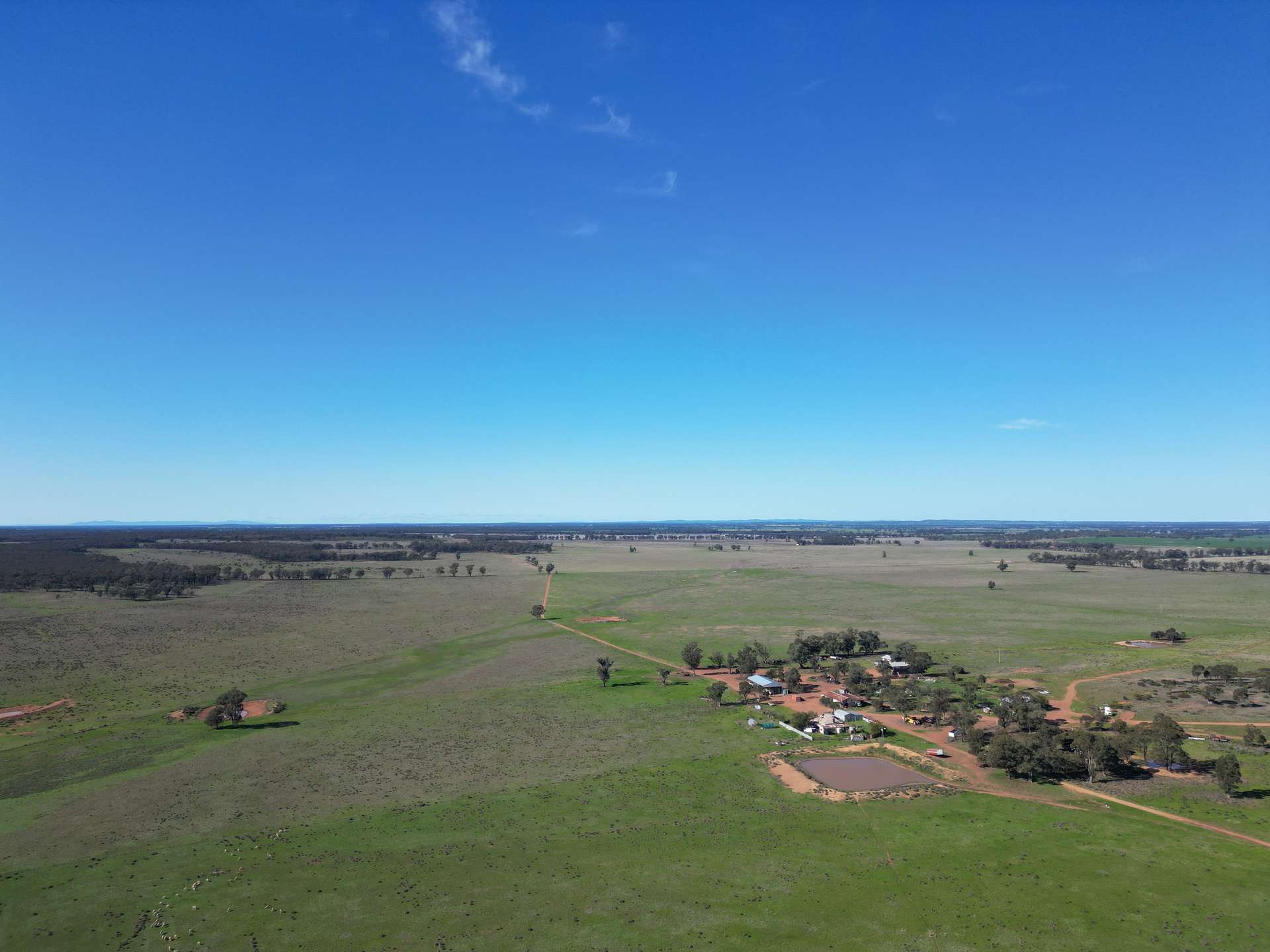 603 Charcoal Tank Road, West Wyalong For Sale by Farmbuy.com - image 7