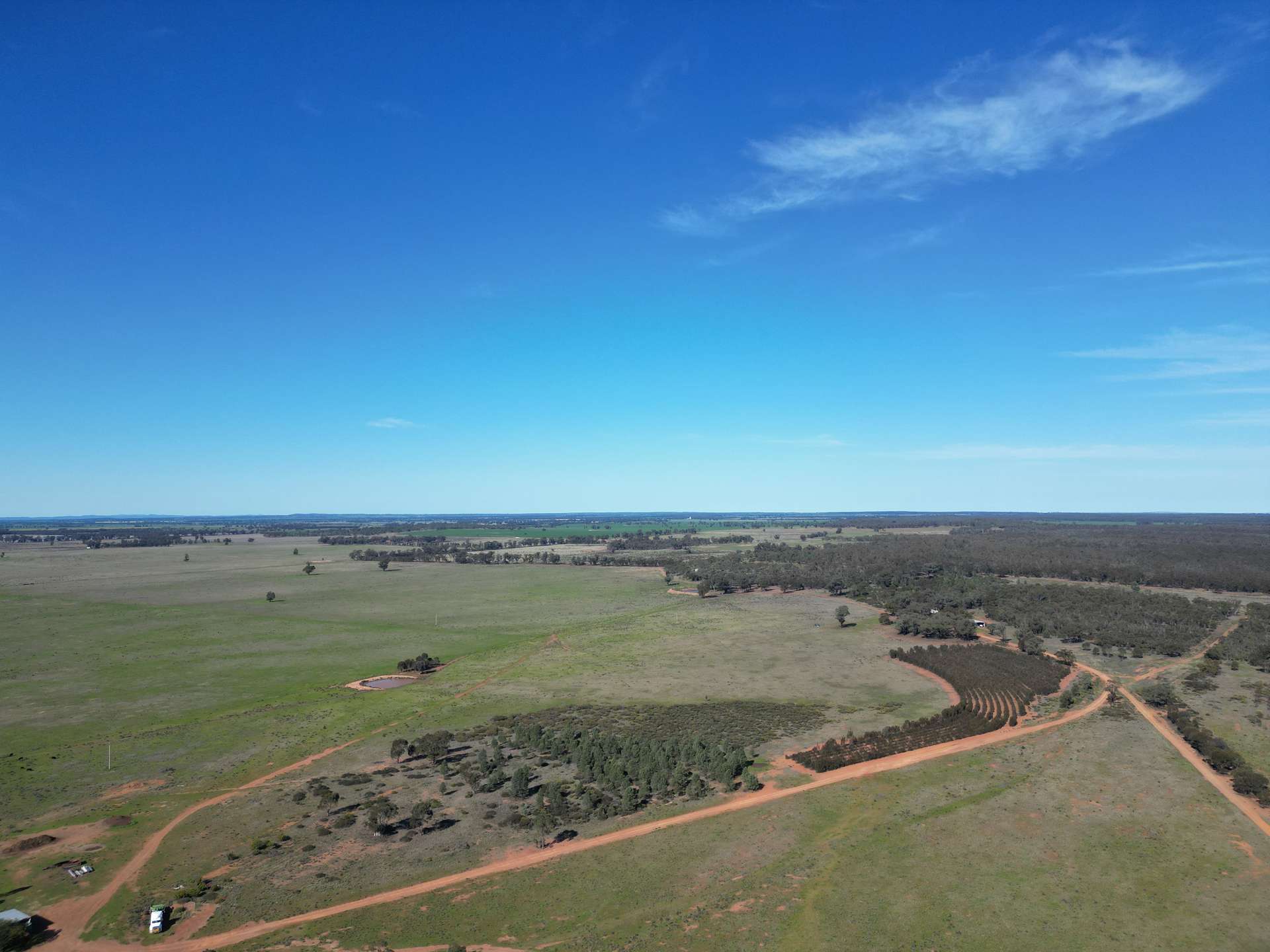 603 Charcoal Tank Road, West Wyalong For Sale by Farmbuy.com - image 8