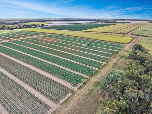 Farm For Sale - QLD - Alloway - 4670 - 198.55 Ha Irrigated Macadamia & Cultivation Aggregation 