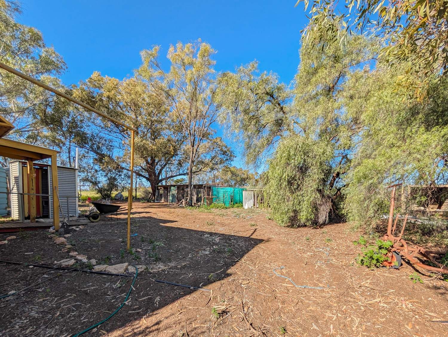 74 Louttits Lane, Koraleigh For Sale by Farmbuy.com - image 32