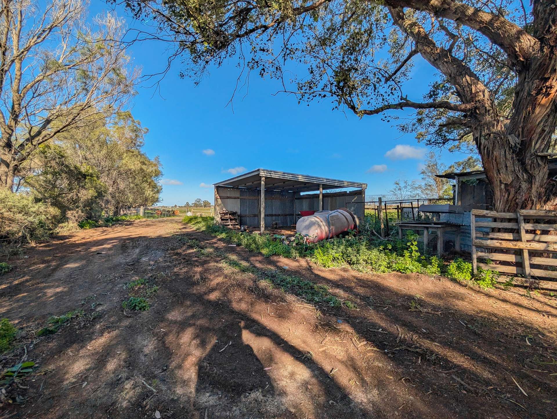 74 Louttits Lane, Koraleigh For Sale by Farmbuy.com - image 29