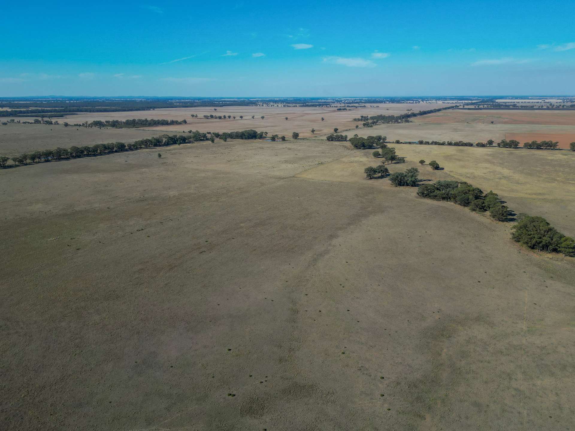 117 Kerrs Lane, Alleena For Sale by Farmbuy.com - image 4