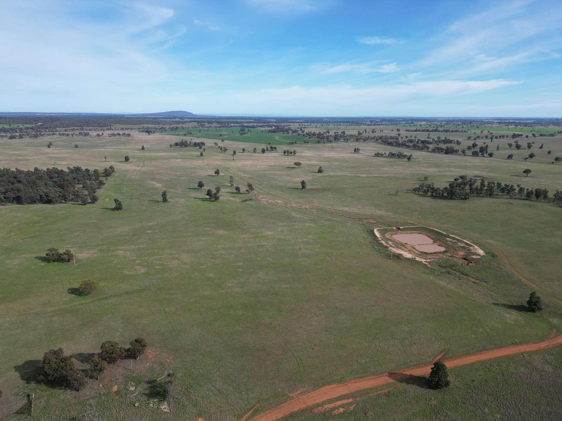 3013 Mid Western Highway, North Yalgogrin For Sale by Farmbuy.com - image 6