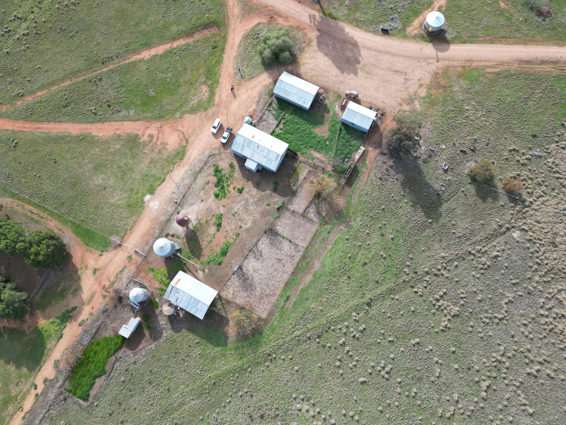 3013 Mid Western Highway, North Yalgogrin For Sale by Farmbuy.com - image 11