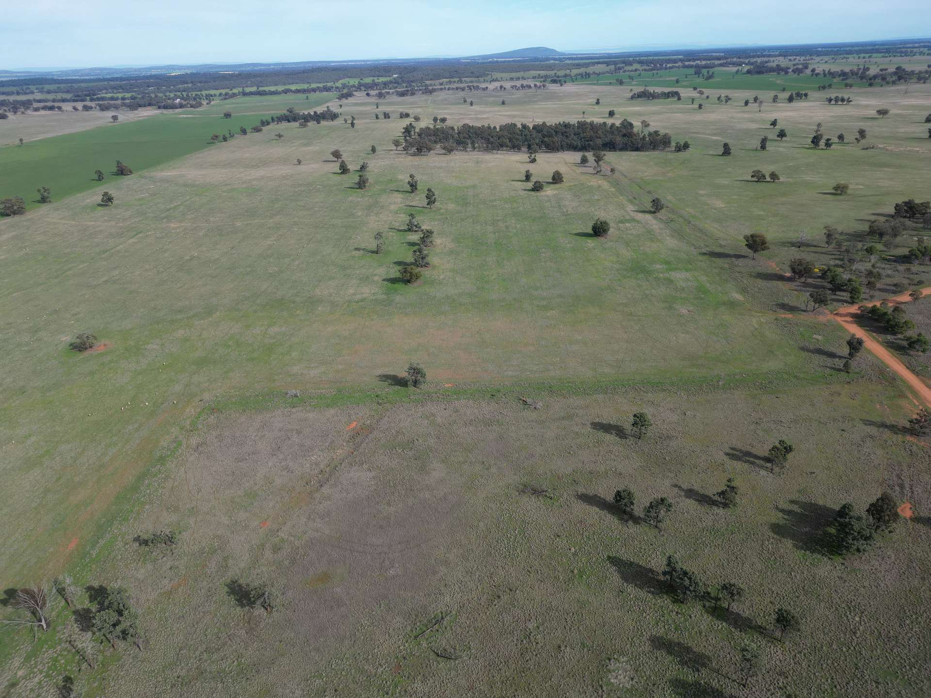 3013 Mid Western Highway, North Yalgogrin For Sale by Farmbuy.com - image 7