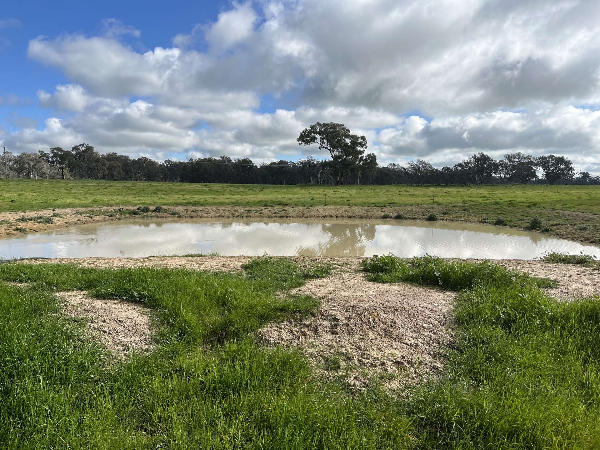 'Rocklyn' Nation Road, Burrumbuttock For Sale by Farmbuy.com - image 3