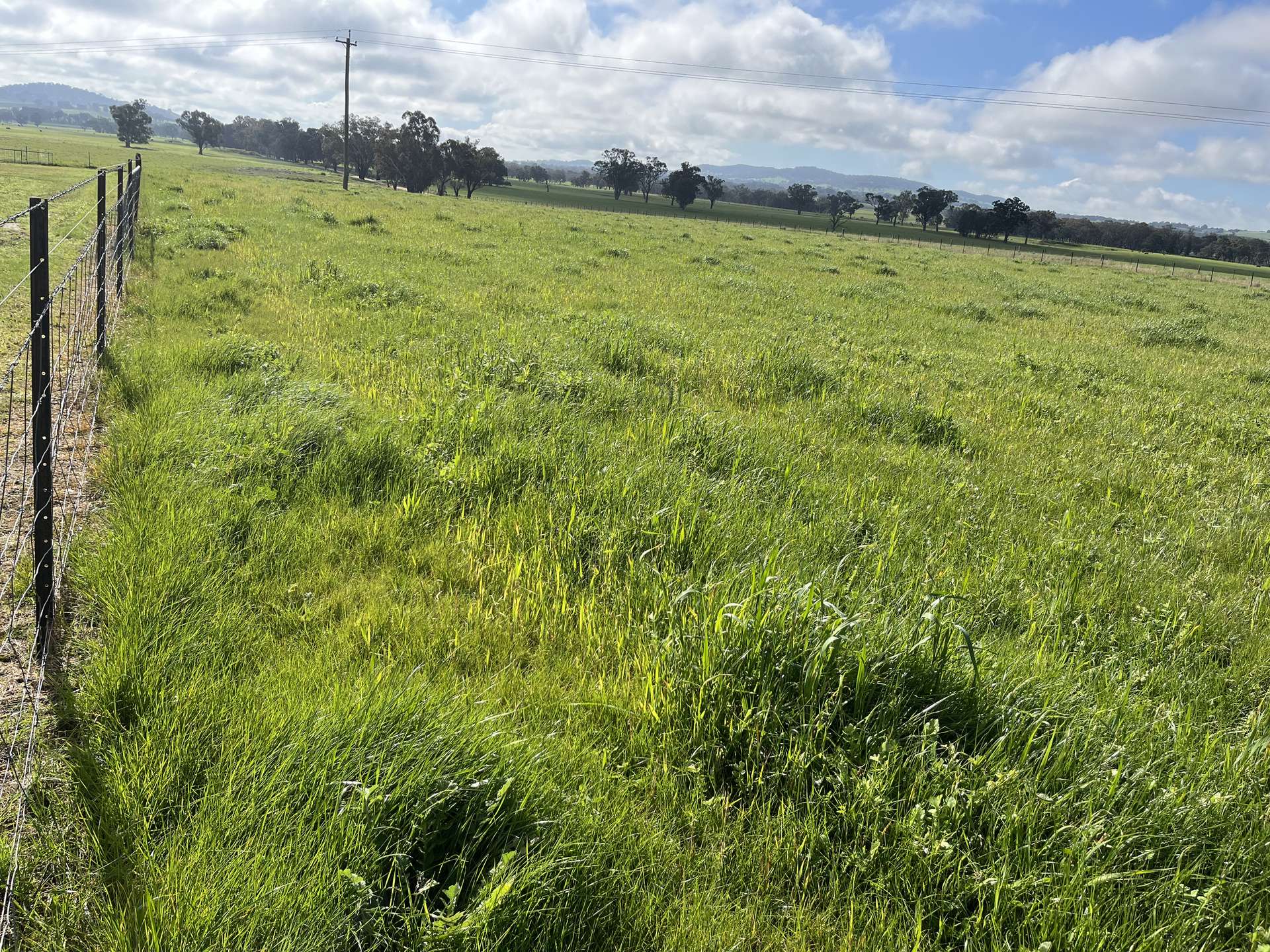 'Rocklyn' Nation Road, Burrumbuttock For Sale by Farmbuy.com - image 4
