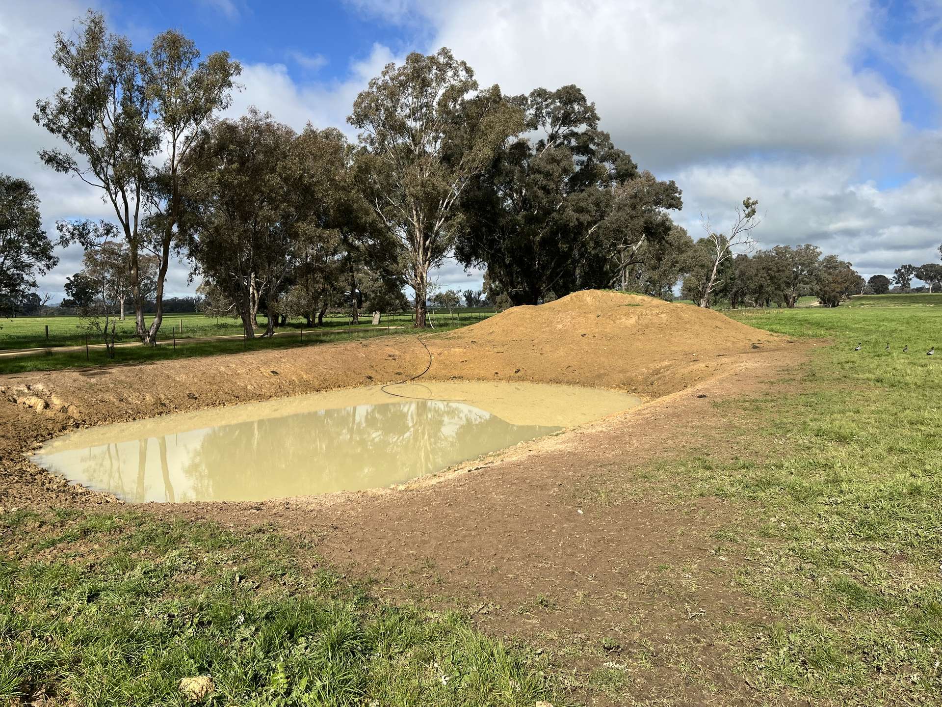 'Rocklyn' Nation Road, Burrumbuttock For Sale by Farmbuy.com - image 11