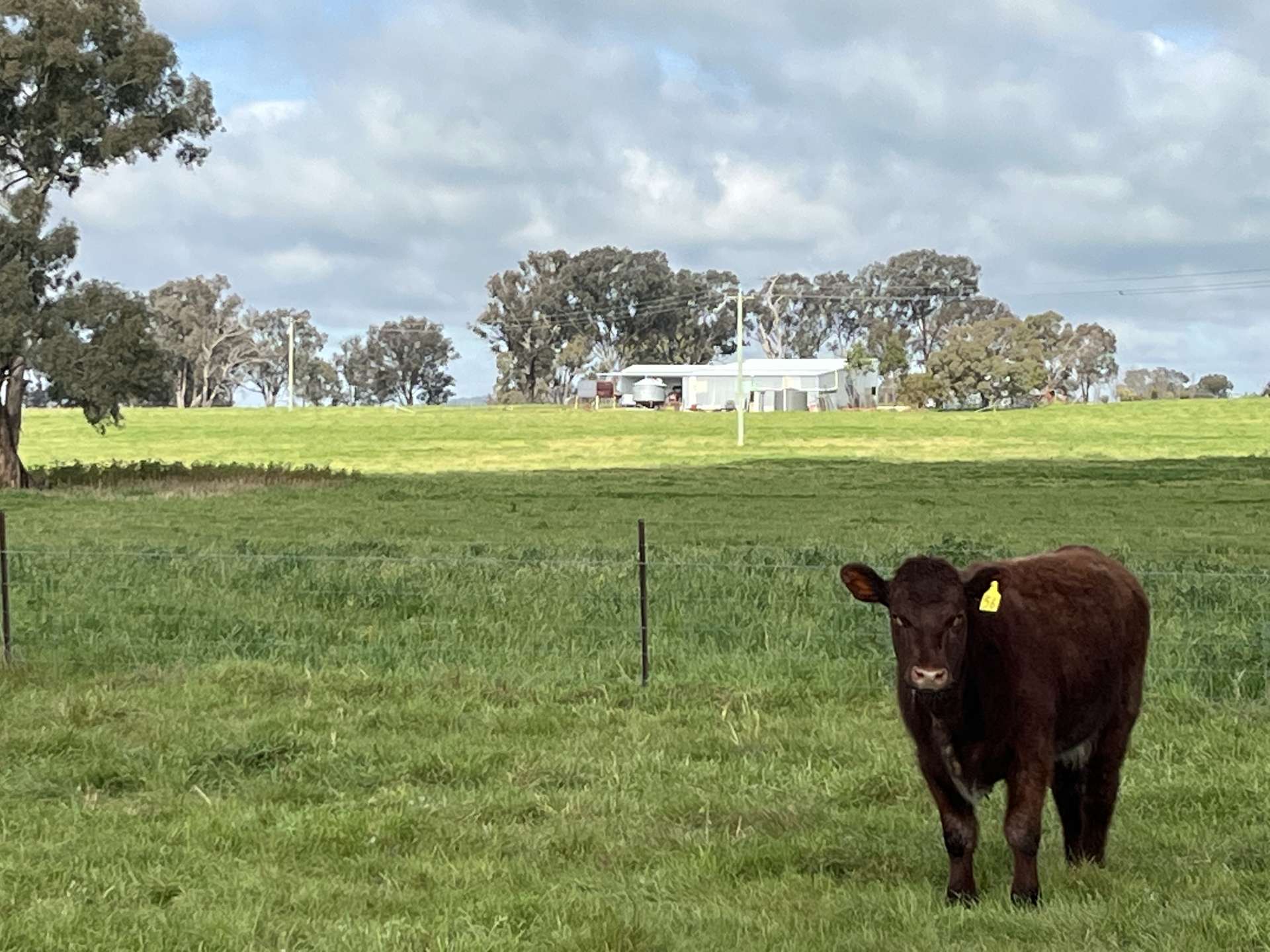 'Rocklyn' Nation Road, Burrumbuttock For Sale by Farmbuy.com - image 2