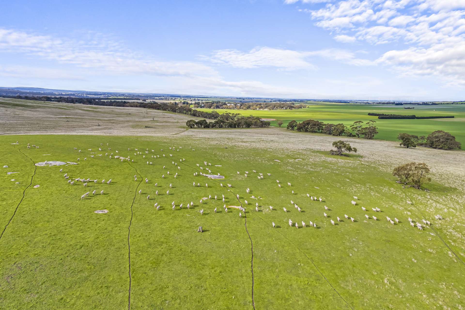 564 Linton-Naringhil Road, Linton For Sale by Farmbuy.com - image 2