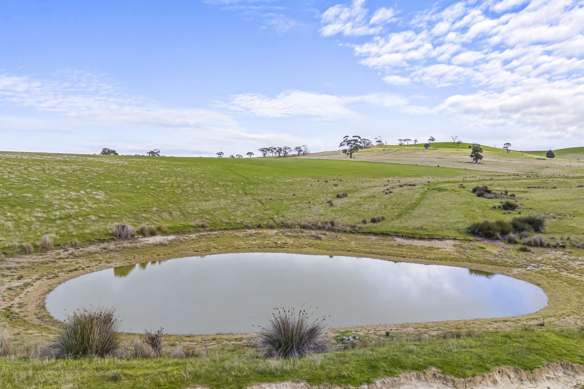 564 Linton-Naringhil Road, Linton For Sale by Farmbuy.com - image 5