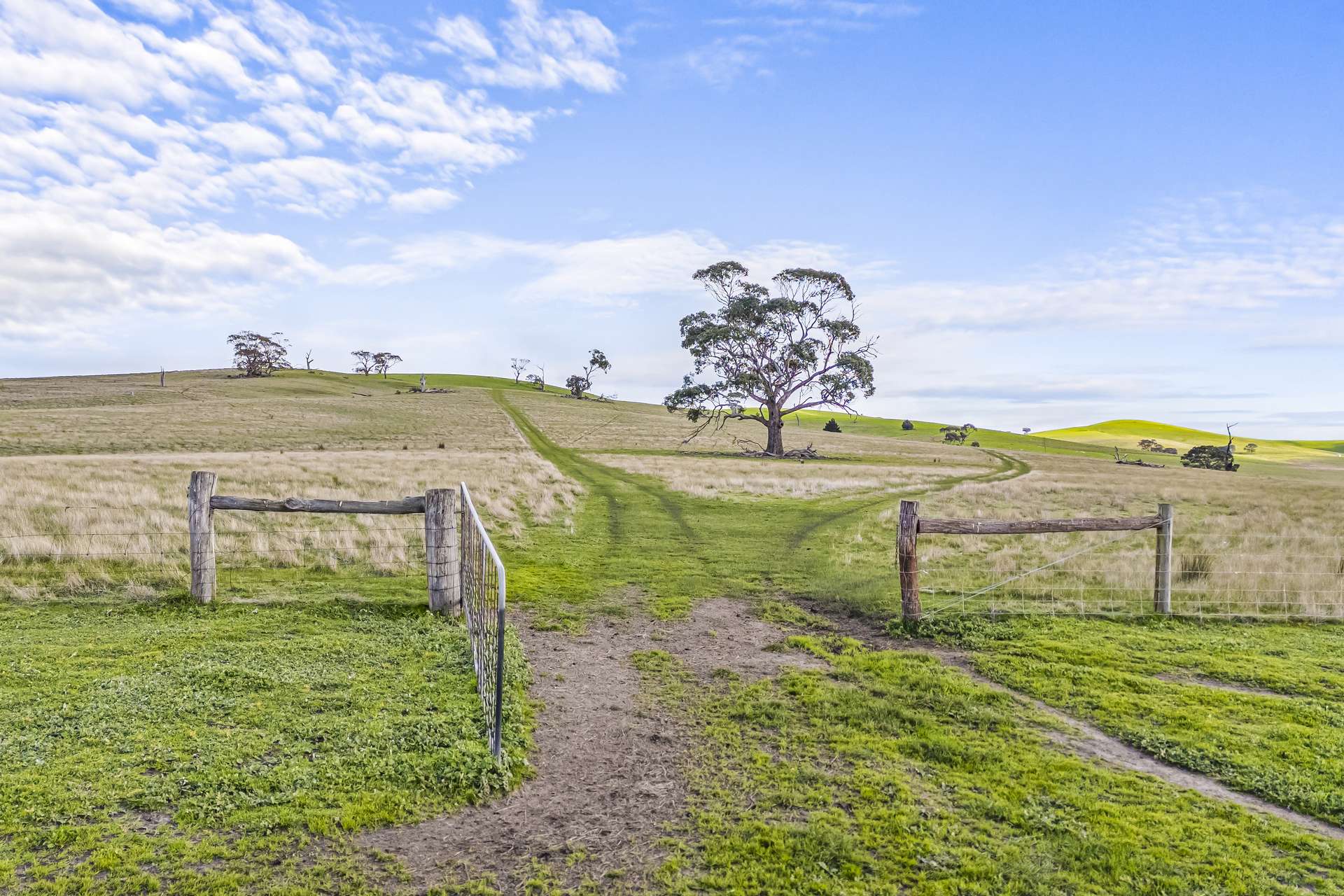 564 Linton-Naringhil Road, Linton For Sale by Farmbuy.com - image 4