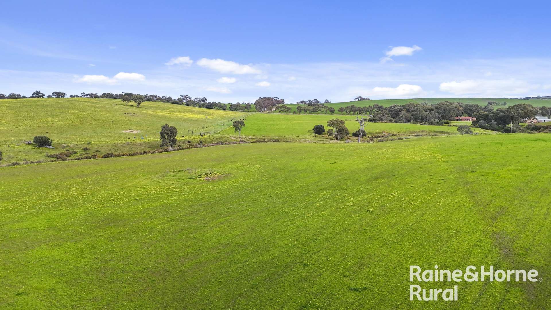 48 Mine Flat Road, Strathalbyn For Sale by Farmbuy.com - image 12