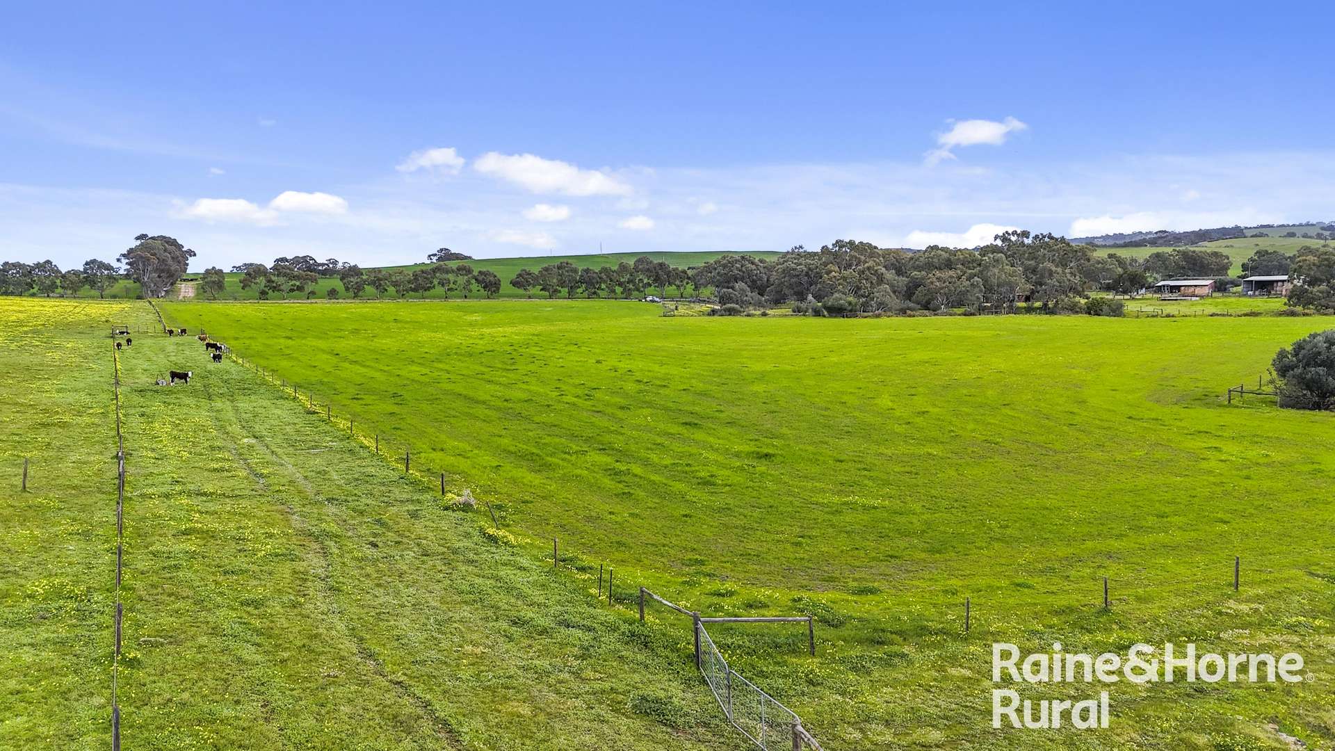 48 Mine Flat Road, Strathalbyn For Sale by Farmbuy.com - image 6