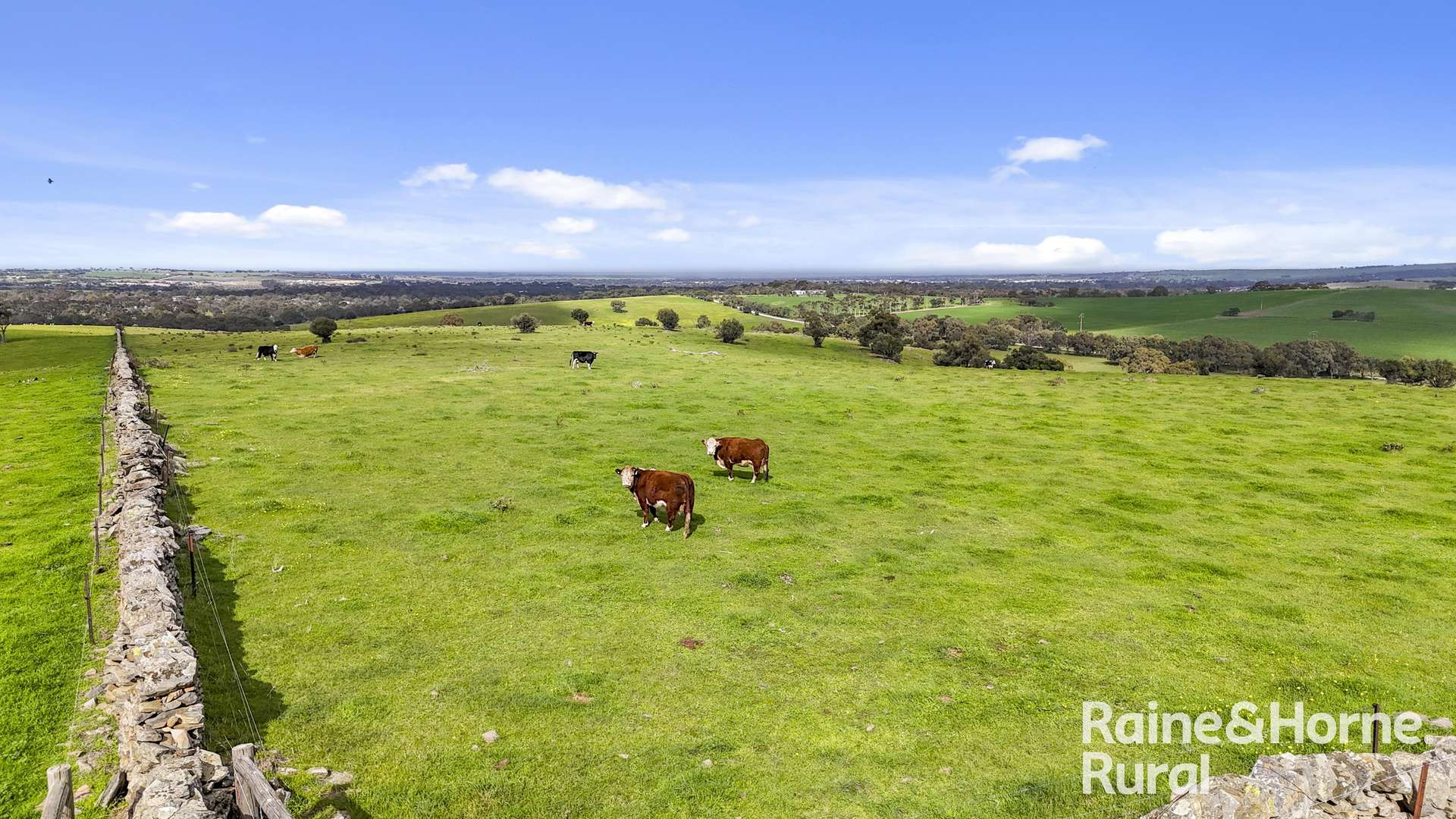 48 Mine Flat Road, Strathalbyn For Sale by Farmbuy.com - image 18