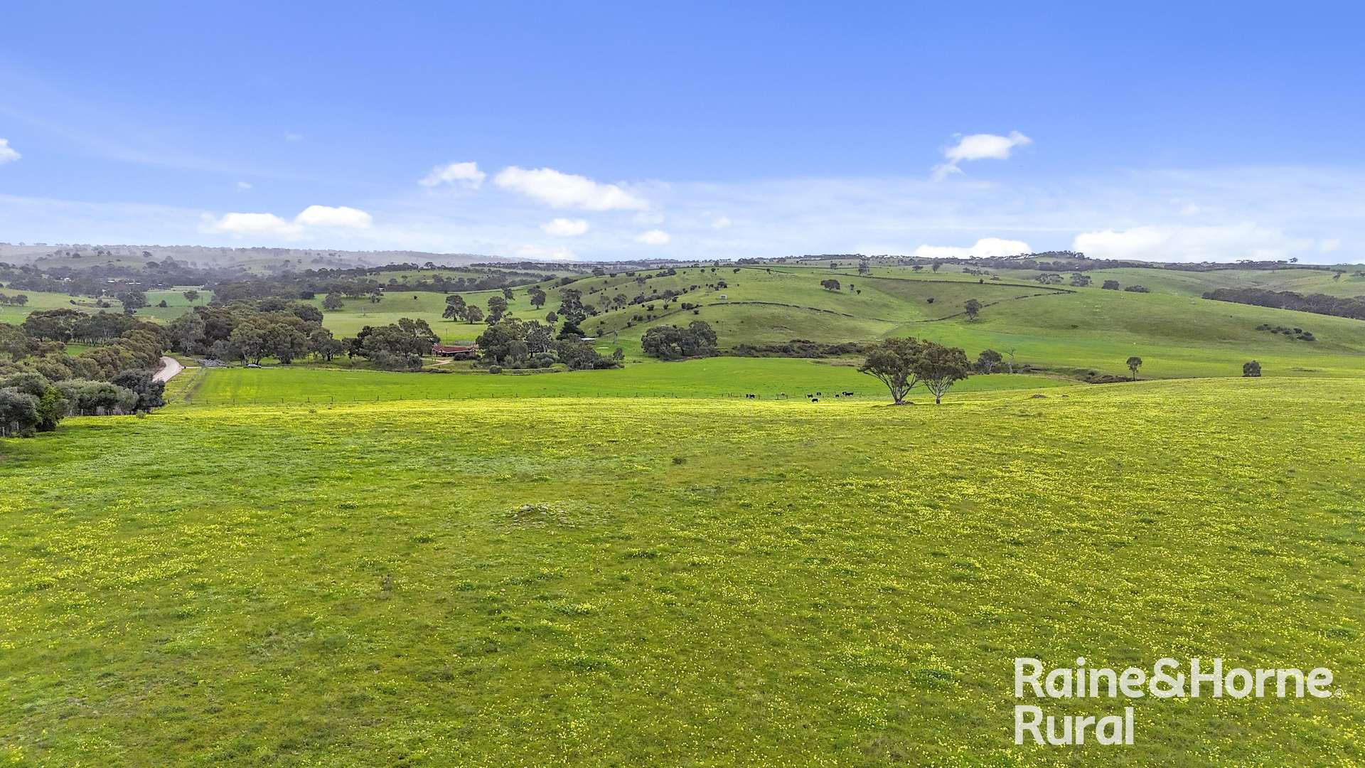 48 Mine Flat Road, Strathalbyn For Sale by Farmbuy.com - image 31