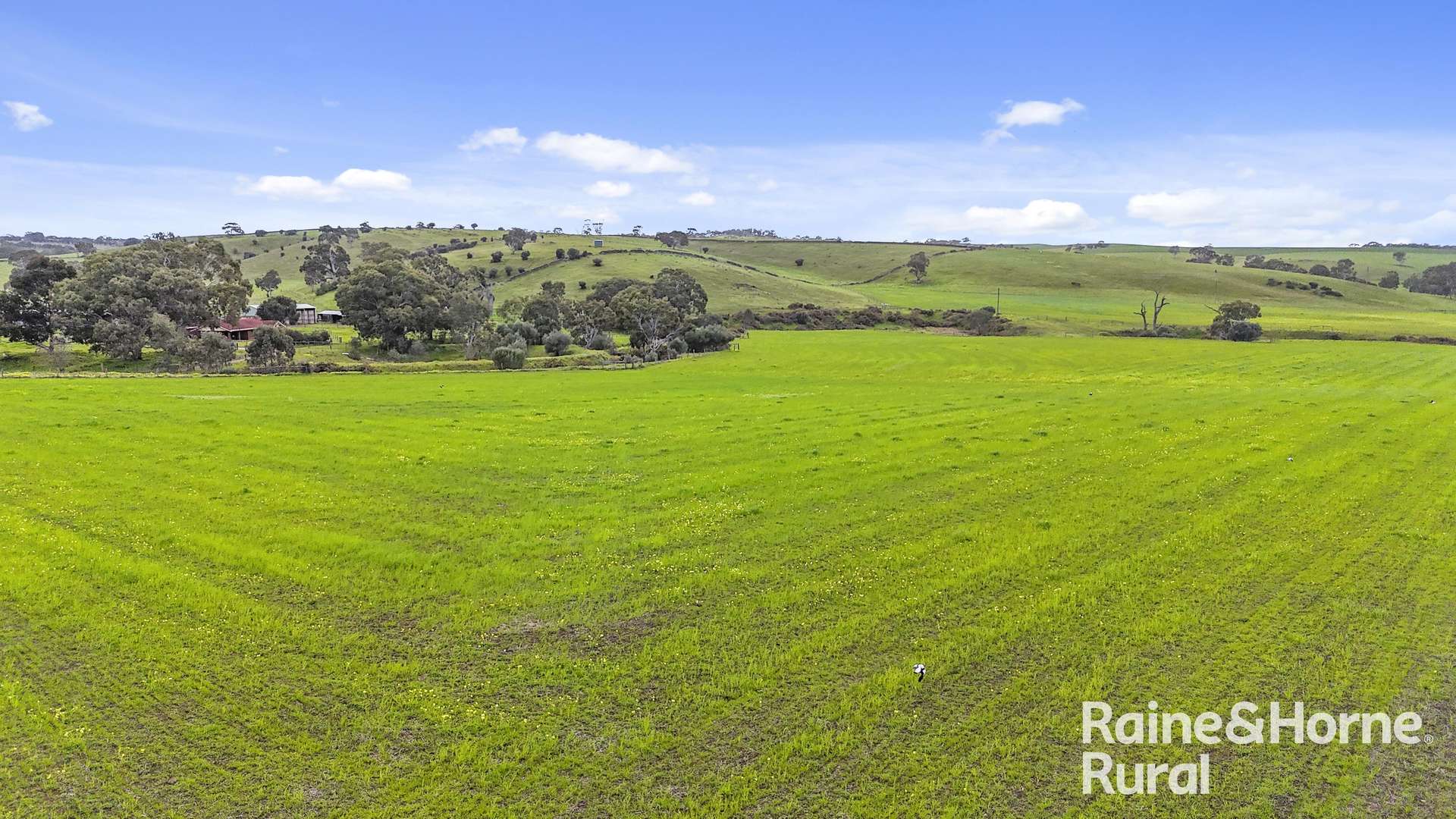 48 Mine Flat Road, Strathalbyn For Sale by Farmbuy.com - image 10