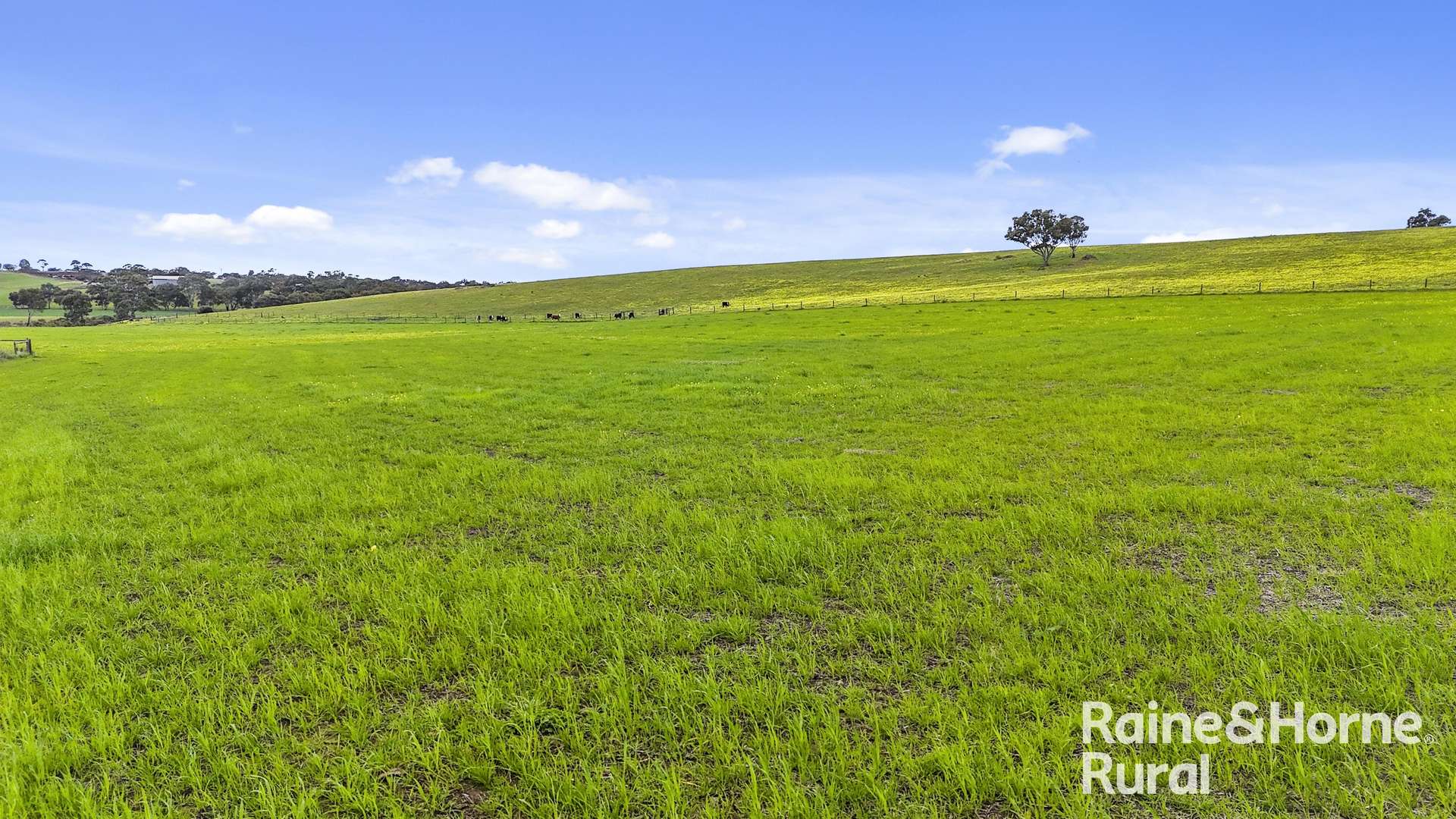 48 Mine Flat Road, Strathalbyn For Sale by Farmbuy.com - image 30