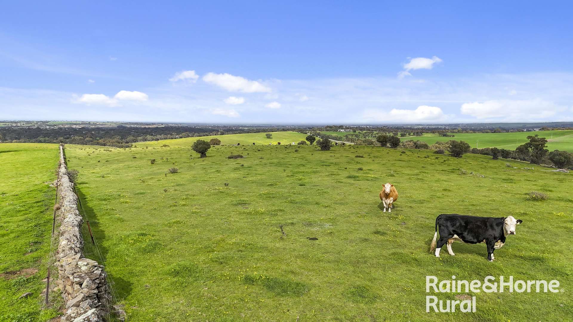 48 Mine Flat Road, Strathalbyn For Sale by Farmbuy.com - image 26