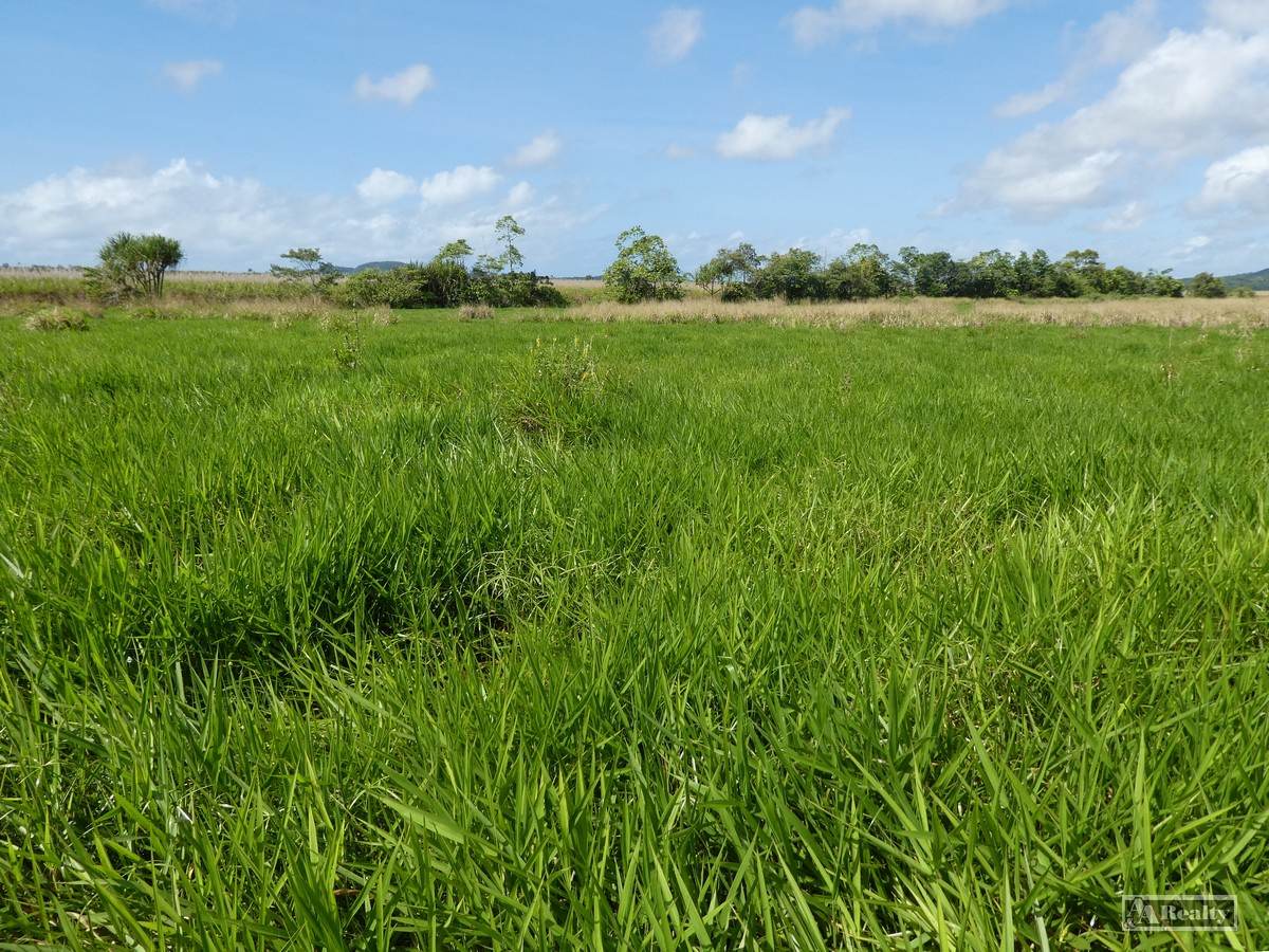 Cowley For Sale by Farmbuy.com - image 2