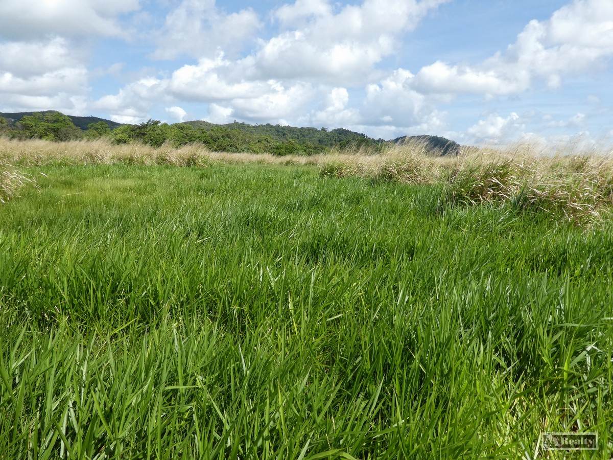 Cowley For Sale by Farmbuy.com - image 3