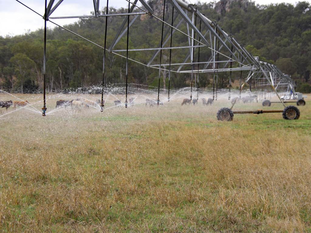 "Spring Creek" Scrubby Mountain Road, Monto QLD 4630
