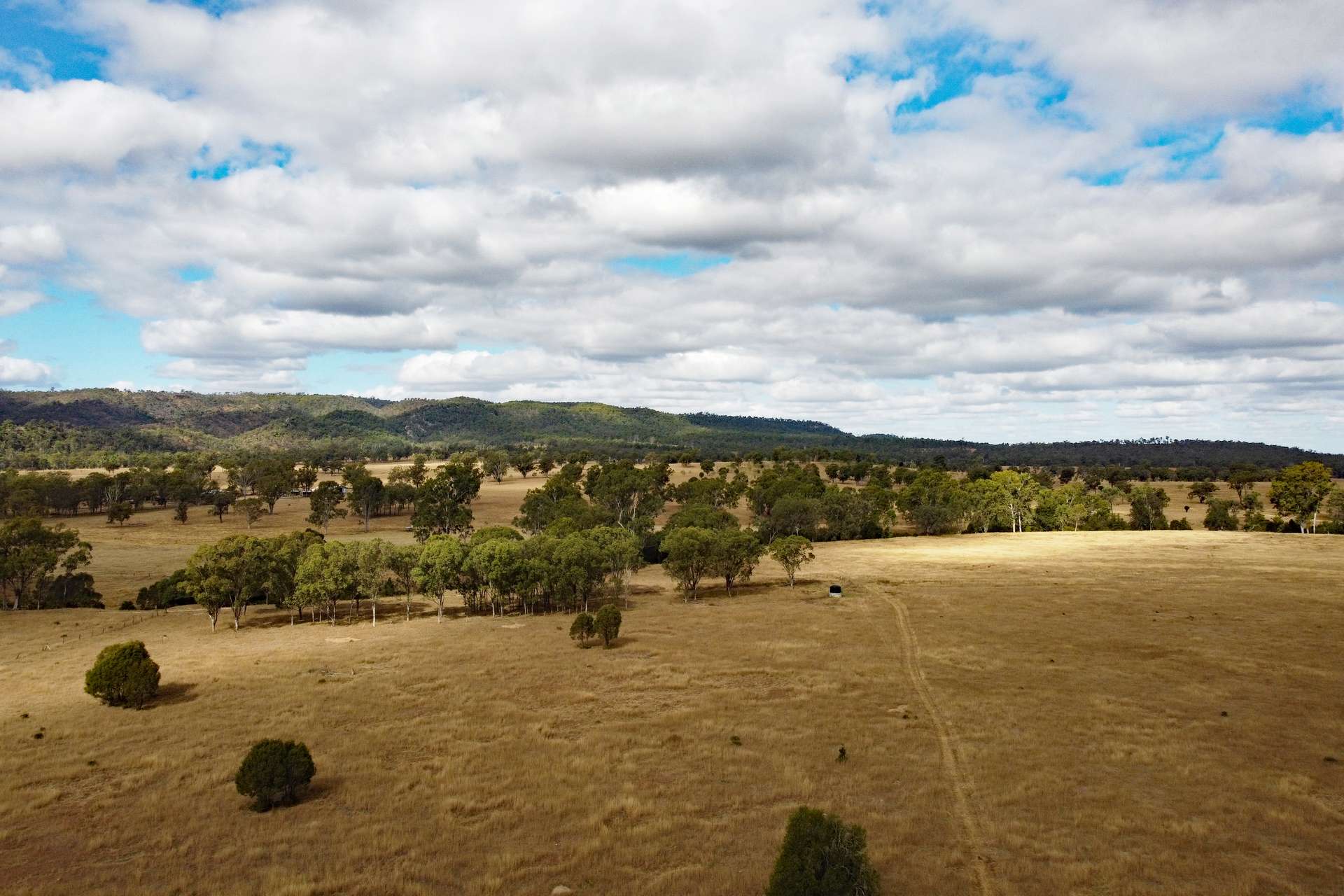 "Spring Creek" Scrubby Mountain Road, Monto For Sale by Farmbuy.com - image 1