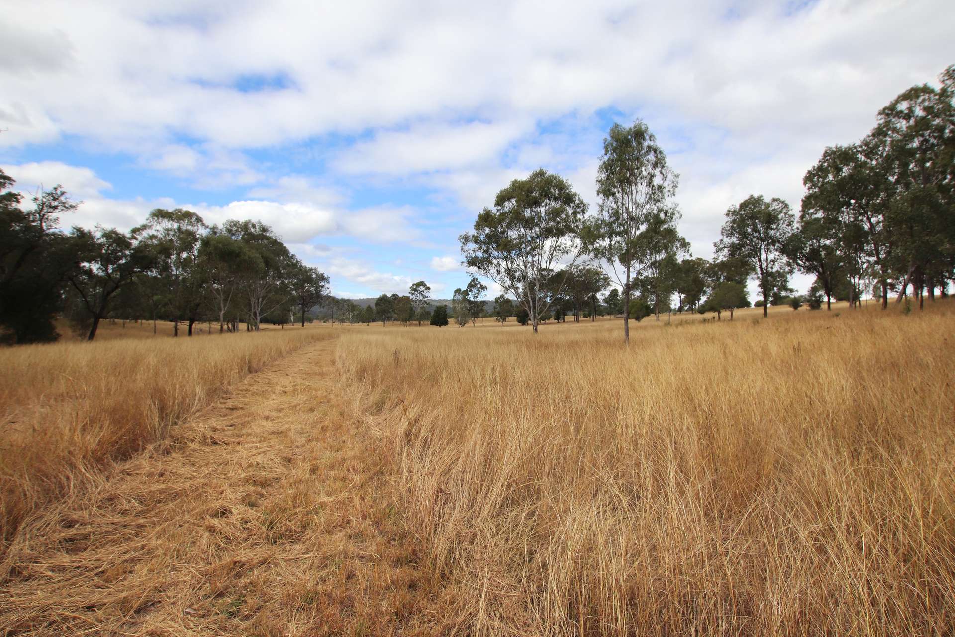 "Spring Creek" Scrubby Mountain Road, Monto For Sale by Farmbuy.com - image 17