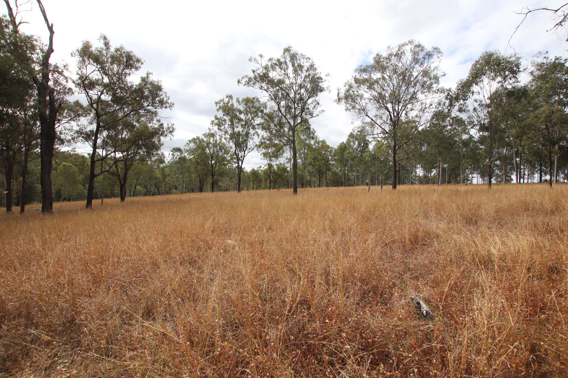 "Spring Creek" Scrubby Mountain Road, Monto For Sale by Farmbuy.com - image 15