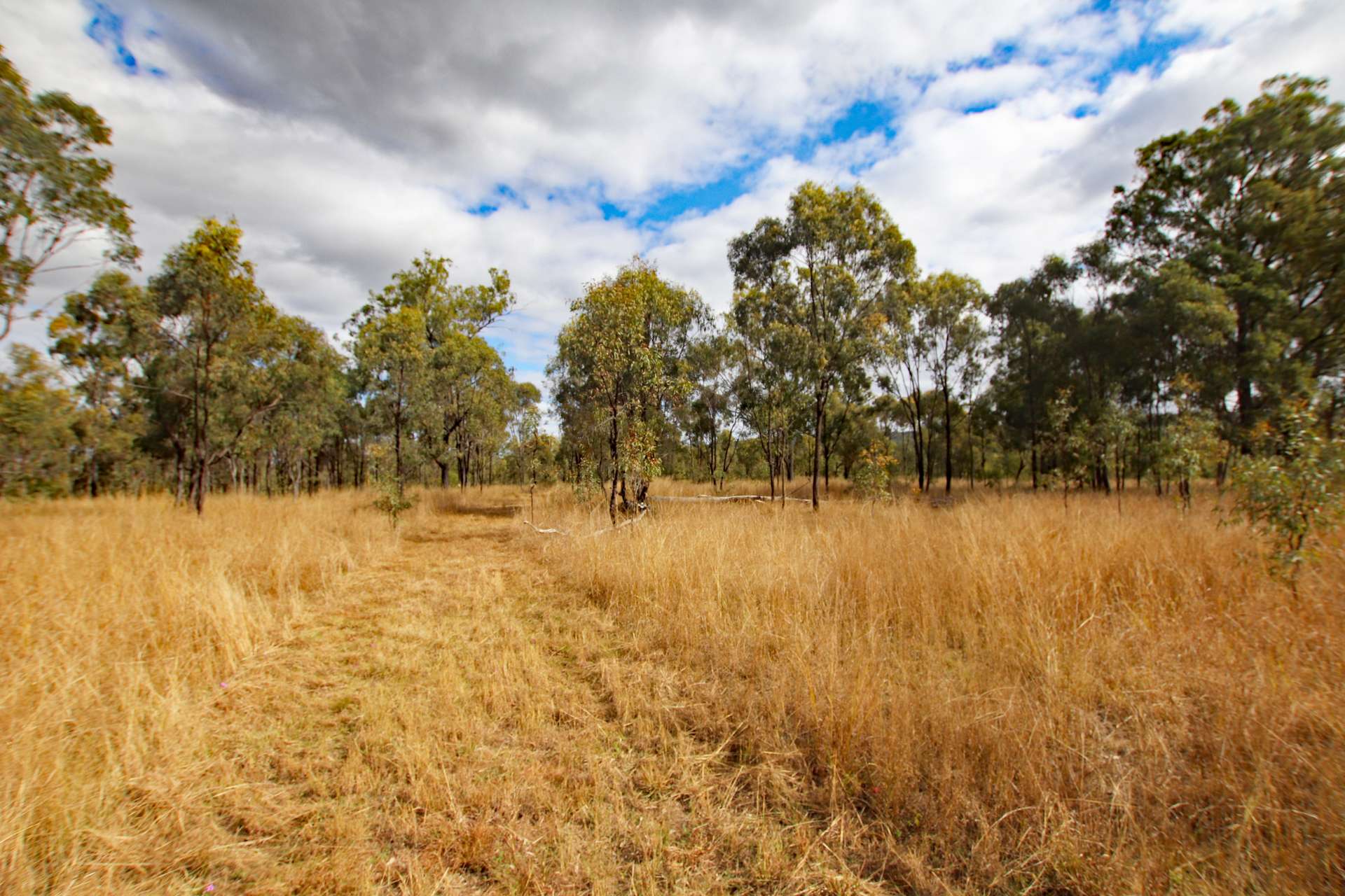 "Spring Creek" Scrubby Mountain Road, Monto For Sale by Farmbuy.com - image 19